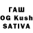 Галлюциногенные грибы Psilocybine cubensis StriveFor Selflessness