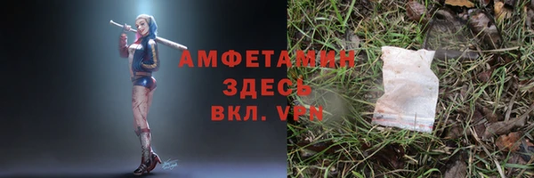 прущие грибы Навашино