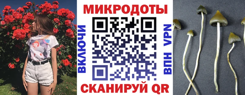 Галлюциногенные грибы Magic Shrooms  Котельниково 
